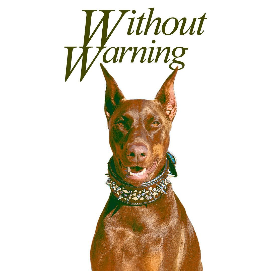 Without Warning